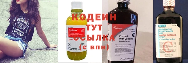 молекула духа Богданович