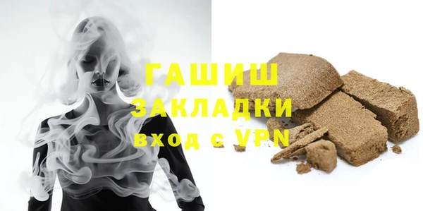 молекула духа Богданович