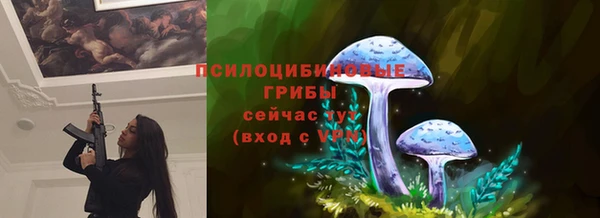 сатива Белокуриха