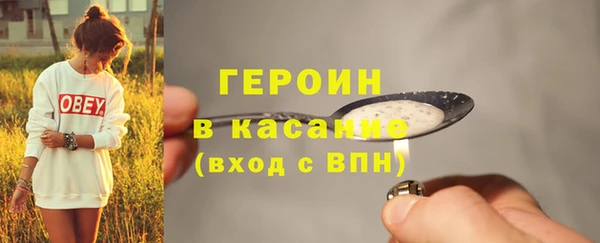 молекула духа Богданович