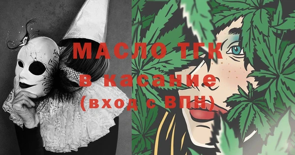 молекула духа Богданович