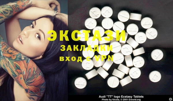 молекула духа Богданович