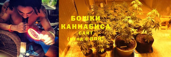 бошки Богородицк