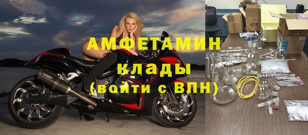 молекула духа Богданович