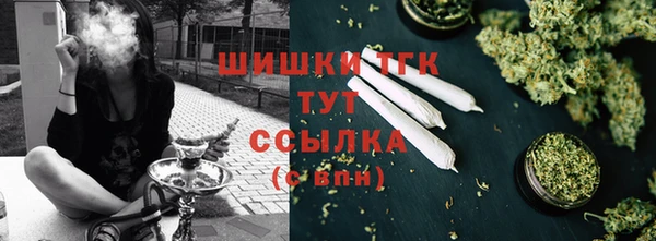 сатива Белокуриха