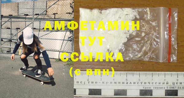 молекула духа Богданович